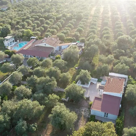 Bed and Breakfast L'abbiu Country Relax E